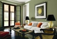 Portfolio Image